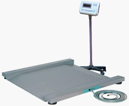 Платформенные весы Cas R-600